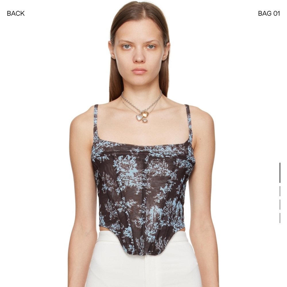 WORN ONCE miaou blue brown Venus corset